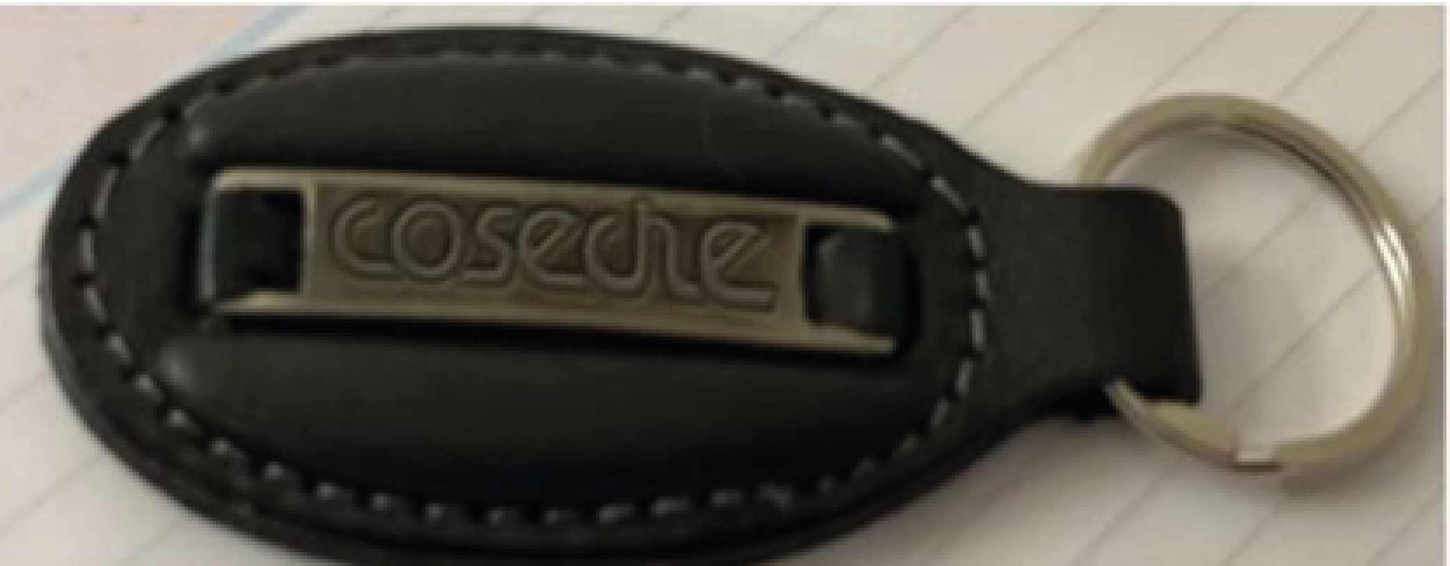 Llavero con placa metálica