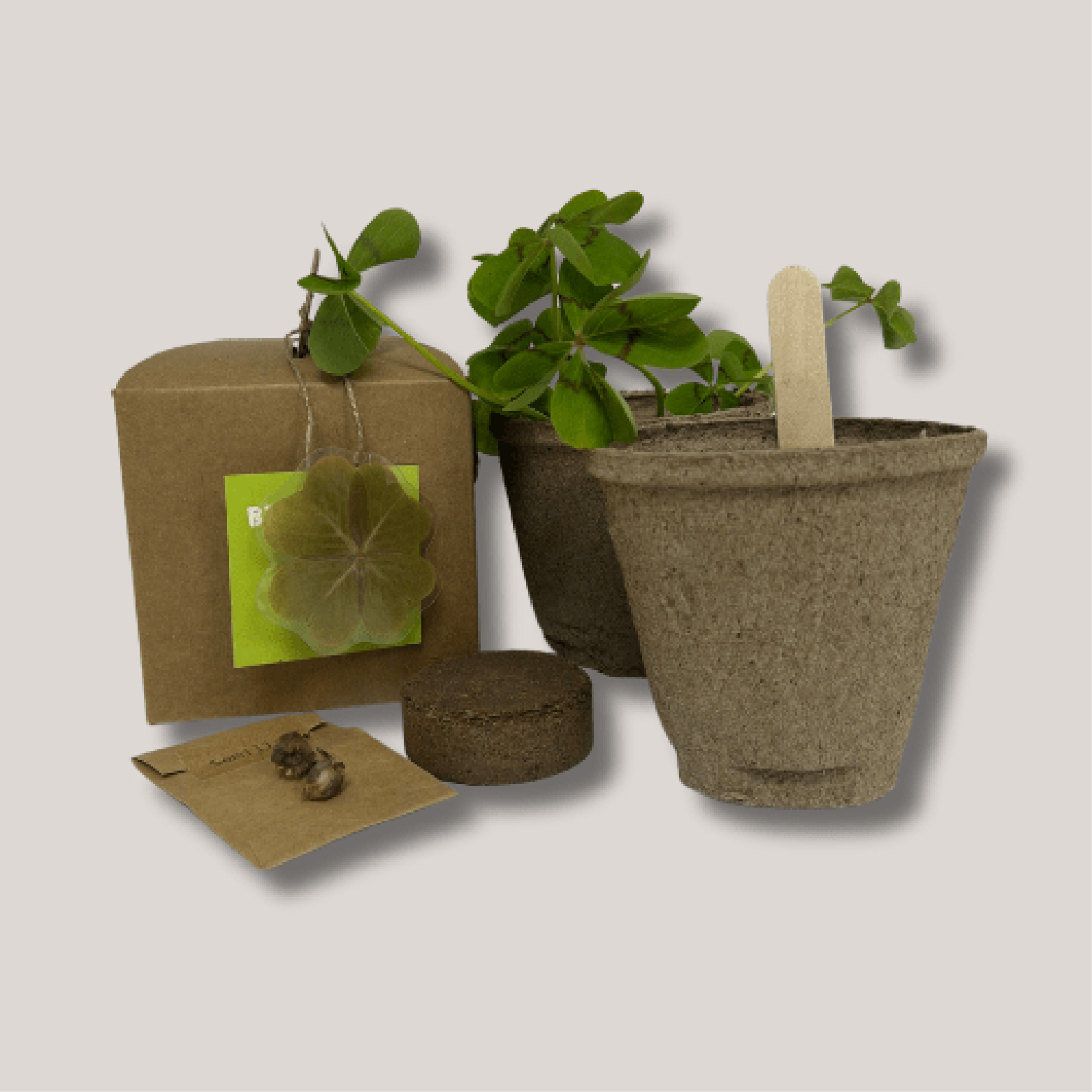 Kit Suerte de regalo