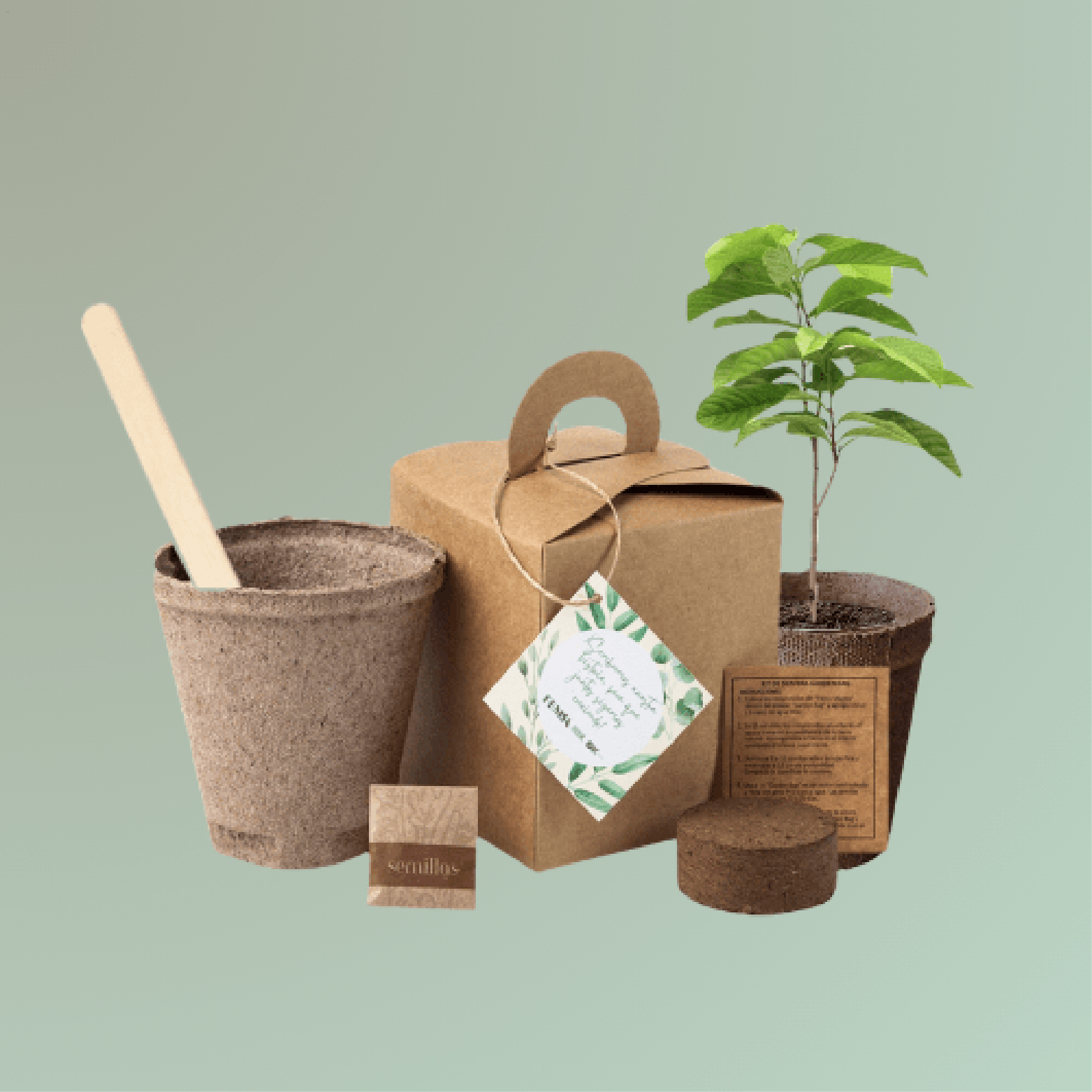 Kit Siembra un árbol